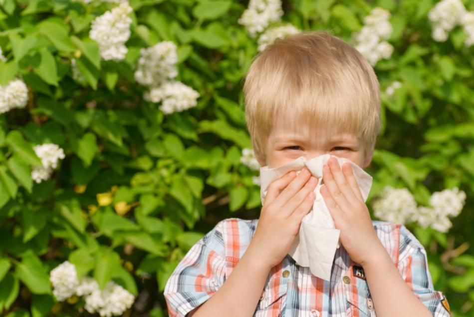 Сдать пробы на аллергию ребенку воронеж thumbnail